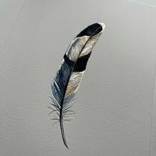 Shiny feathers . Traditional illustration, Creativit, Pencil Drawing, Drawing, Watercolor Painting, Realistic Drawing, Artistic Drawing, Botanical Illustration, and Naturalistic Illustration project by Lisi - 12.10.2021