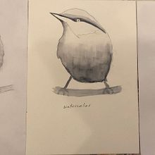 My project in Artistic Watercolor Techniques for Illustrating Birds course. Traditional illustration, Watercolor Painting, Realistic Drawing, and Naturalistic Illustration project by Inass Said - 12.11.2021