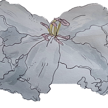 Lilly  May . Un proyecto de Bocetado de Trudes Wright - 11.12.2021