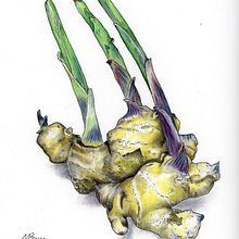 My project in Botanical Sketchbooking: A Meditative Approach course. Een project van Traditionele illustratie,  Schetsen,  Tekening, Aquarelschilderen,  Botanische illustratie y Sketchbook van Martin Stepka - 12.12.2021