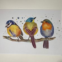 Mi Proyecto del curso: Acuarela artística para ilustración de aves. Traditional illustration, Watercolor Painting, Realistic Drawing, and Naturalistic Illustration project by Pili Guardiola - 12.12.2021