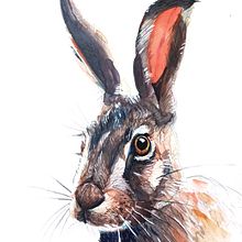 My project in Experimental Watercolor Techniques for Beginners course. Traditional illustration, Fine Arts, Watercolor Painting, and Naturalistic Illustration project by Adrián Rayón - 01.28.2022