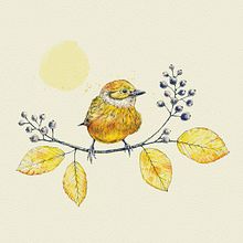 Mijn project van de cursus: Naturalistische illustratie met balpen. Traditional illustration, Drawing, Realistic Drawing, and Naturalistic Illustration project by silentgirl - 12.12.2021