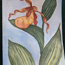 watercolor botanicals, knitting and sewing projects . % Dawn Capra-Grace tarafından hazırlanan Tablo, Sulubo, a Resim, Dikiş, Ve Tığ işi projesi - 12.12.2021