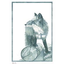 Midnight Fox Ein Projekt aus dem Bereich Traditionelle Illustration und Aquarellmalerei von Shannon Carter - 12.12.2021