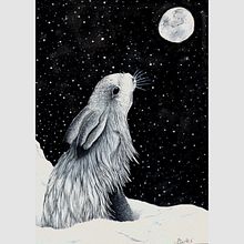 Arctic Hare. Ilustração tradicional, e Pintura em aquarela projeto de Shannon Carter - 16.10.2021