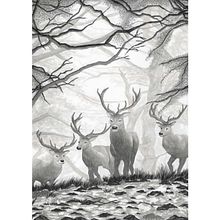 Grey Deer in Woods. Ilustração tradicional, e Pintura em aquarela projeto de Shannon Carter - 12.12.2021