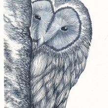 Peeping Owl. Ilustração tradicional, e Pintura em aquarela projeto de Shannon Carter - 02.06.2021