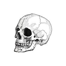 My project in Blackwork Tattoo Design course. Traditional illustration, Digital Illustration, and Tattoo Design project by Louise Sumner - 12.13.2021