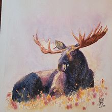 My project in Expressive Animal Portraits in Watercolor course. Projekt z dziedziny Trad, c, jna ilustracja, Malowanie akwarelą, R, sunek realist, czn, Ilustracja naturalist i czna użytkownika Nathalie Girard - 13.12.2021