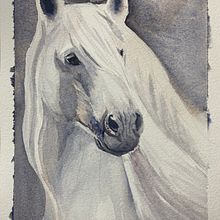 My project in Expressive Animal Portraits in Watercolor course. Un progetto di Illustrazione tradizionale, Pittura ad acquerello, Disegno realistico e Illustrazione naturalistica di Natalie Mironychev - 13.12.2021