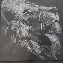 TEG: DIBUJO BLANCO SOBRE NEGRO. Traditional illustration project by joel Alcala - 12.14.2021