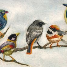 Il mio progetto del corso: Acquerello artistico per illustrazione di animali: gli uccelli. Traditional illustration, Watercolor Painting, Realistic Drawing, and Naturalistic Illustration project by Erica Orru - 12.14.2021