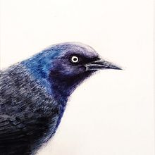 My project in Naturalist Watercolor with Expression and Personality course. Projekt z dziedziny Trad, c, jna ilustracja, Malowanie akwarelą, Ilustracja naturalist i czna użytkownika Zuzana Zachová - 14.12.2021