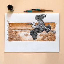 In a Misty Marsh- Pen and ink drawing. Traditional illustration, Naturalistic Illustration, Drawing & Ink Illustration project by Philip Harris - 06.09.2021