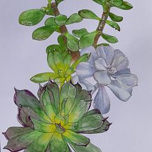 Mon projet du cours : Carnet de croquis botanique : une approche méditative. Traditional illustration, Sketching, Drawing, Watercolor Painting, Botanical Illustration, and Sketchbook project by nseguintremblay - 12.16.2021