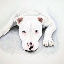 My project in Expressive Animal Portraits in Watercolor course. Traditional illustration, Watercolor Painting, Realistic Drawing, and Naturalistic Illustration project by Stacy Burch - 12.14.2021