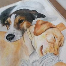 Mi Proyecto del curso: Retratos expresivos de animales en acuarela. Un proyecto de Ilustración tradicional, Pintura a la acuarela, Dibujo realista e Ilustración naturalista				 de Carme Farrerons - 17.12.2021