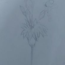 Mi Proyecto del curso:las flores del mañana. Design, Traditional illustration, Fine Arts, Painting, Creativit, Creating with Kids, and Sketchbook project by emflores71 - 12.18.2021