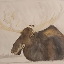 My project in Experimental Watercolor Techniques for Beginners course. Traditional illustration, Fine Arts, Watercolor Painting, and Naturalistic Illustration project by Didier Van Impe - 12.18.2021