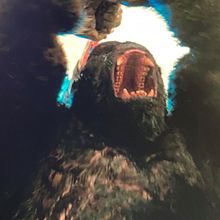KONG  FACIAL MODELLER / GOZILLA VS KONG. Un proyecto de Cine, vídeo, televisión y 3D de Ismael Alabado - 19.12.2021
