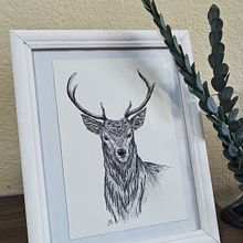 Meu projeto do curso: Ilustração naturalista à caneta. Traditional illustration, Drawing, Realistic Drawing, and Naturalistic Illustration project by Sabrina Eliza Rodrigues - 12.18.2021