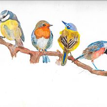 My Four Birds. Projekt z dziedziny Trad, c, jna ilustracja, Malowanie akwarelą, R, sunek realist, czn, Ilustracja naturalist i czna użytkownika Brian Yost - 20.12.2021