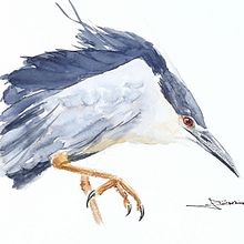 Mi Proyecto del curso: Acuarela naturalista con expresión y personalidad. Ilustração tradicional, Pintura em aquarela e Ilustração naturalista projeto de Juan Pablo Garcia - 21.12.2021