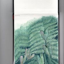 Composición en verdes. Un progetto di Pittura ad acquerello, Illustrazione tradizionale e Illustrazione botanica di M Torres - 21.07.2021