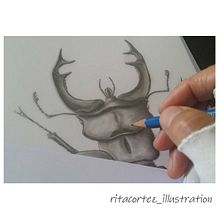 Ilustración Científica. Een project van Traditionele illustratie,  Digitaal schilderij, Instagram,  Tekening, Tekening met potlood,  Infographics, Digitale illustratie, Realistische tekening, Tekenen met kleurpotloden y  Botanische illustratie van Rita Cortez - 21.12.2021