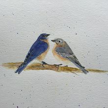 My project in Artistic Watercolor Techniques for Illustrating Birds course. Traditional illustration, Watercolor Painting, Realistic Drawing, and Naturalistic Illustration project by chrislyhne46 - 12.21.2021