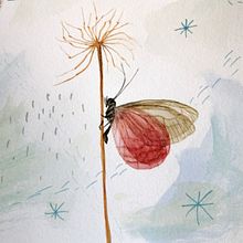 Mi Proyecto del curso: Diario naturalista en acuarela. Projekt z dziedziny Trad, c, jna ilustracja, Malowanie akwarelą, R, sunek botaniczn, Sketchbook, Ilustracja naturalist i czna użytkownika Arlette Cassot - 21.12.2021