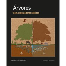 Infografias. Een project van  Ontwerp, Traditionele illustratie, Educatie, Informatieontwerp, Digitale illustratie,  Botanische illustratie, Digitale tekening, Redactionele illustratie y Naturalistische illustratie van Rita Cortez - 22.12.2021