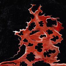 two of my works  Ein Projekt aus dem Bereich Digitale Illustration und Traditionelle Illustration von Beril Tezel - 22.12.2021