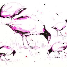 My project in Illustrating Nature: A Creative Exploration course. Projekt z dziedziny Trad, c, jna ilustracja,  Malarstwo,  R, sunek, Malowanie akwarelą,  R, sunek atramentem, Ilustracja naturalist i czna użytkownika Hany - 22.12.2021
