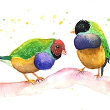 My project in Artistic Watercolor Techniques for Illustrating Birds course. Un proyecto de Ilustración tradicional, Pintura a la acuarela, Dibujo realista e Ilustración naturalista				 de Oliwia - 22.12.2021