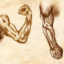 Esercizio Anatomia . Traditional illustration, Character Design, and Digital Illustration project by Alessandro Paderi - 07.16.2020