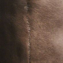 Cura. Un projet de Photographie, Photographie artistique , et Beaux Arts de Luísa Ferreira - 23.12.2021