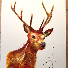 My project in Expressive Animal Portraits in Watercolor course. Un progetto di Illustrazione tradizionale, Pittura ad acquerello, Disegno realistico e Illustrazione naturalistica di Patricia Hillis - 24.12.2021