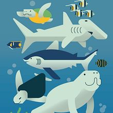 Costa Rican sea life. Final projecto // Ilustración vectorial: personalidad y color. Traditional illustration, Graphic Design, Vector Illustration, and Digital Illustration project by marvin_ocampo_art - 12.26.2021