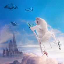 Magic photomontage. Un progetto di Postproduzione fotografica, Ritocco fotografico, Fotografia digitale, Composizione fotografica e Fotomontaggio di Sabina Czypionka - 26.12.2021