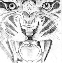 Il mio progetto del corso: Illustrazione naturalistica con scratchboard. Traditional illustration, Drawing, and Naturalistic Illustration project by Serena Maggi - 12.26.2021