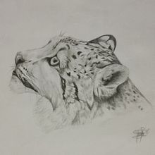 Dibujo grafito, colores y rotuladores- Hobbie. Pencil Drawing, and Drawing project by Yessica Pérez - 12.27.2021