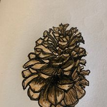 My project in Botanical Sketchbooking: A Meditative Approach course. Traditional illustration, Sketching, Drawing, Watercolor Painting, Botanical Illustration, and Sketchbook project by Amber St Clare - 12.28.2021