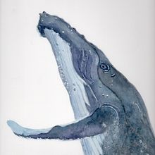 My project in Naturalist Illustration Techniques: Whales in Watercolor course. Un projet de Illustration traditionnelle de echochien - 28.12.2021