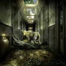 Mi Proyecto del curso: Invasión desde adentro. Photograph, Photograph, Post-production, VFX, Photo Retouching, Fine-Art Photograph, Photographic Composition, and Photomontage project by fabian_leandro90 - 12.24.2021