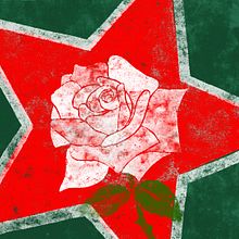 LA ROSA BIANCA DI STALINGRADO . Traditional illustration project by Fabio Faberi - 12.28.2021