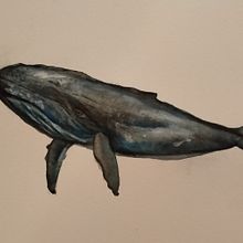 Mi Proyecto del curso: Técnicas experimentales de acuarela para principiantes. Un projet de Illustration traditionnelle, Beaux Arts, Aquarelle et Illustration naturaliste de Andrea Fernando - 28.12.2021
