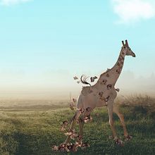 Mi Proyecto del curso: Fotomontaje e ilustraciones fantásticas en Photoshop. Photograph, Collage, Photo Retouching, Digital Illustration, Photographic Composition, and Photomontage project by Paty Hubler - 12.16.2021