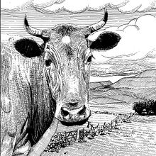 My project in Dip Pen and Ink Illustration: Capturing The Natural World course. Projekt z dziedziny Sketching,  R, sunek,  R, sunek art, st, czn, Sketchbook,  R, sunek atramentem, Ilustracja naturalist i czna użytkownika enricosketching - 28.12.2021